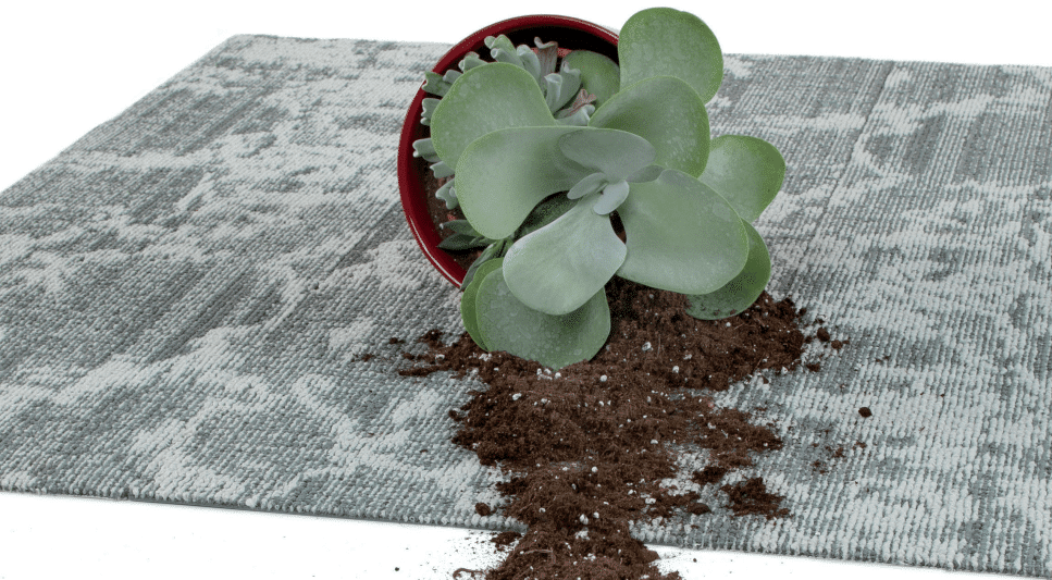 Premium Flooring Solution at Business Lines Trading Co |